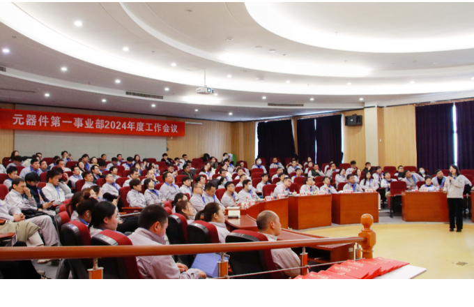 砥砺前行  再启新章 | DG视讯光电元器件第一事业部2024年度工作会议